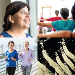 Women's Health Collage women's health collage